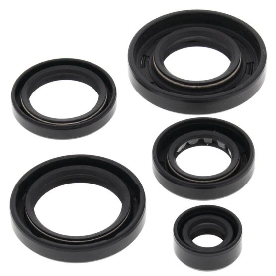 Vertex Engine Oil Seal Kit Fits 2005-2010 Arctic Cat