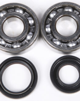 Crankshaft Bearing & Seal Kit