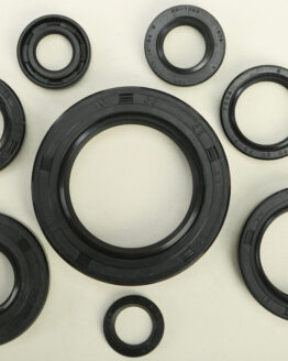 Vertex Engine Oil Seal Kit Fits 1984 Honda CR250R