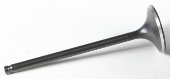 Black Diamond Intake Valve