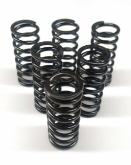 WORKS Clutch Spring Kit