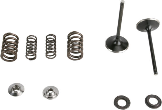 Intake Valve and Spring Stainless Steel Conversion Kit