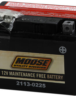 YTX AGM Maintenance Free Battery 60CCA 12V 12Ah