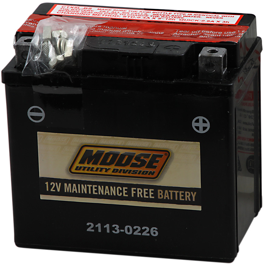 moose_2113-0226.jpg moose_2113-0226.jpg