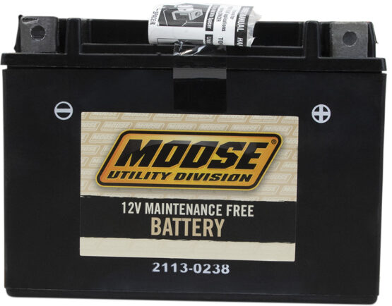 YTX AGM Maintenance Free Battery 230CCA 12V 13Ah