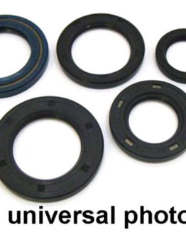 Vertex Engine Oil Seal Kit - 822229