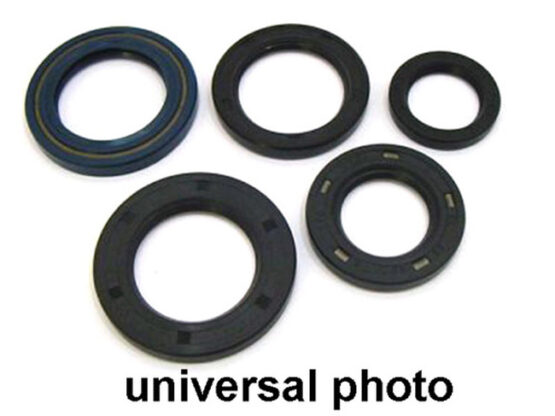 Vertex Engine Oil Seal Kit - 822229