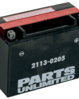 AGM Maintenance Free Battery 350CCA 12V 21Ah