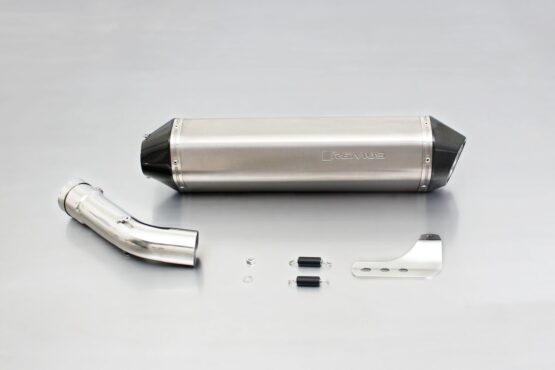 Remus HEXACONE Titanium Slip-On Exhaust Silver Fits BMW R1200ST/RT