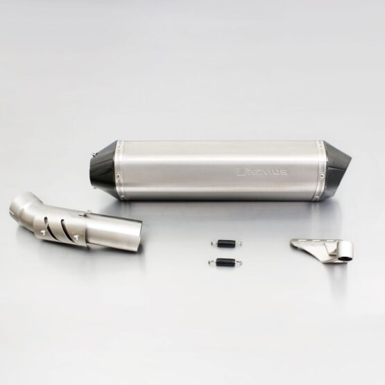 Remus HEXACONE Slip-On Exhaust Titanium Silver Fits 10-12 BMW R1200GS