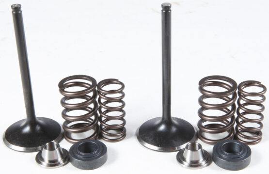 Intake Valve & Spring Kit Stainless Steel