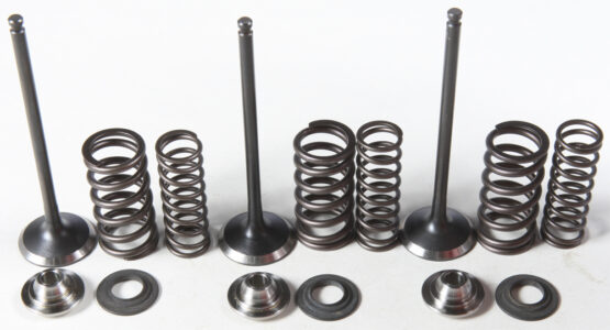 Intake Valve & Spring Kit Stainless Steel