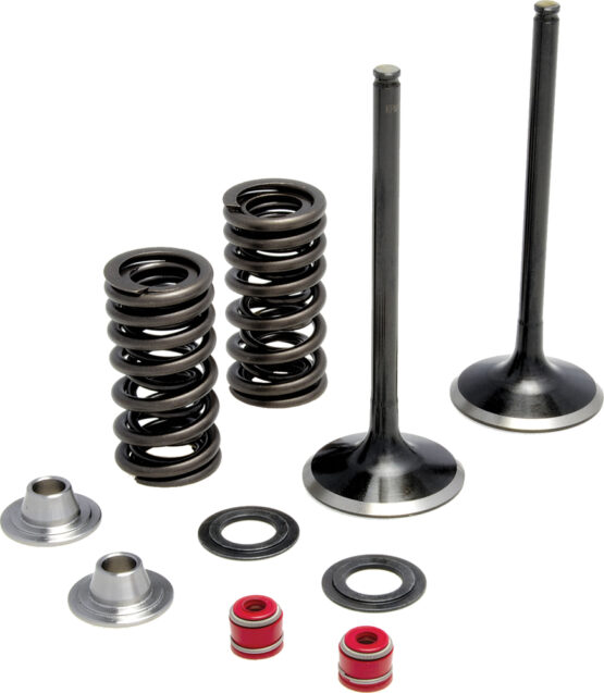 Intake Valve/Spring Kit Stainless Steel