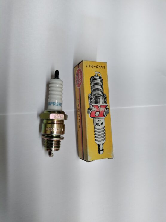 NGK DPR8Z Spark Plug 4730 - Each